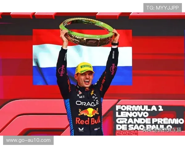 维斯塔潘巴西站超车路径分析，17位发车至领奖台